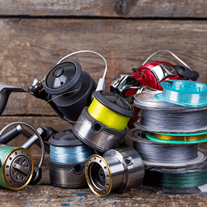 best fishing reels for beginners