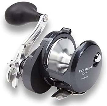 3. SHIMANO TORIUM Conventional Saltwater Star Drag Fishing Reel