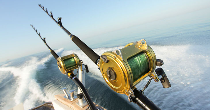 Top 10 Best Saltwater Fishing Reels (2024 Reviews)