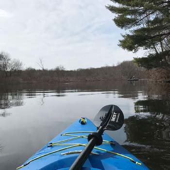 10. Marine Kayak Paddle with Reinforced Fiberglass Blades